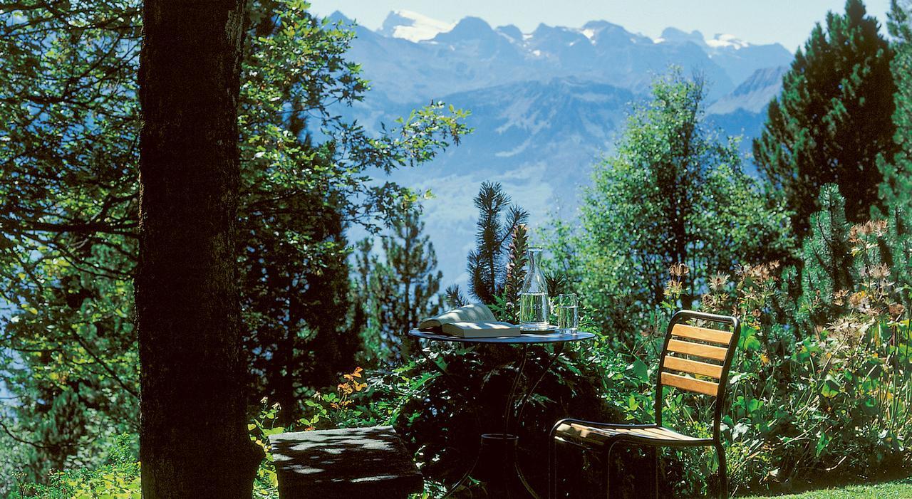 Bergsonne 3* Rigi Kaltbad