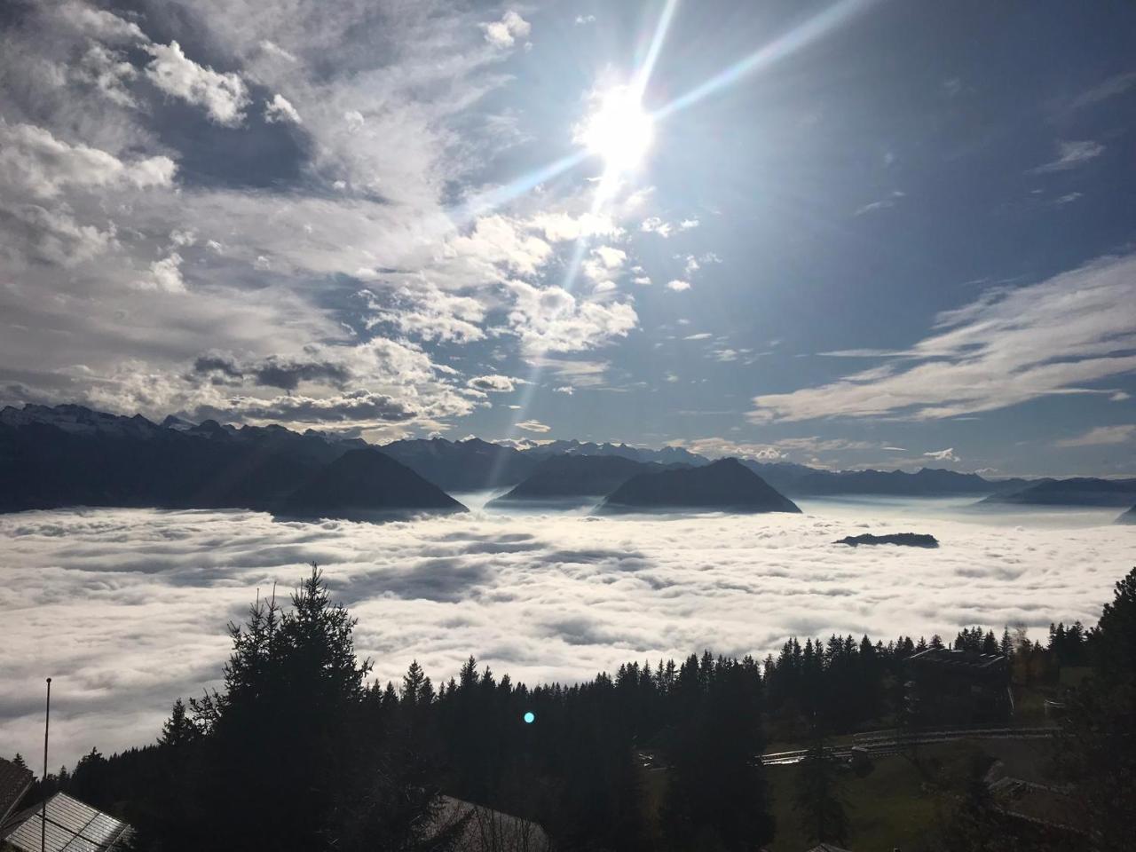 Hotel Bergsonne 3*