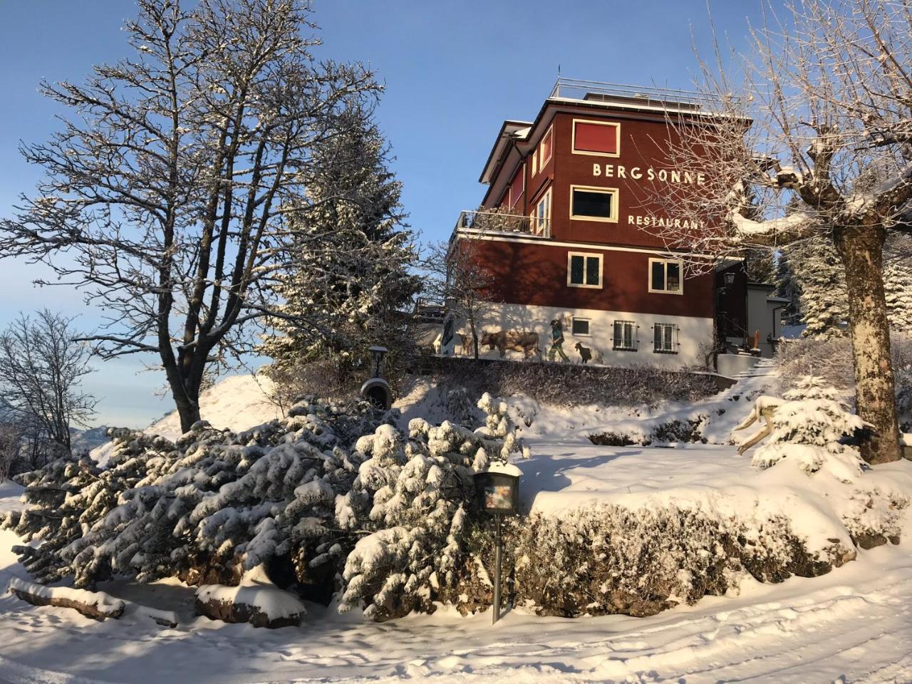Bergsonne 3* Rigi Kaltbad